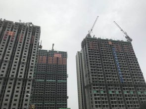 裝配式建筑發(fā)展推動保溫材料等行業(yè)的飛速發(fā)展