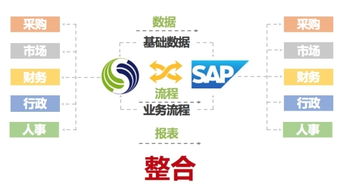 SAP與致遠互聯強強聯手，以技術融合驅動全球企業組織管理升級